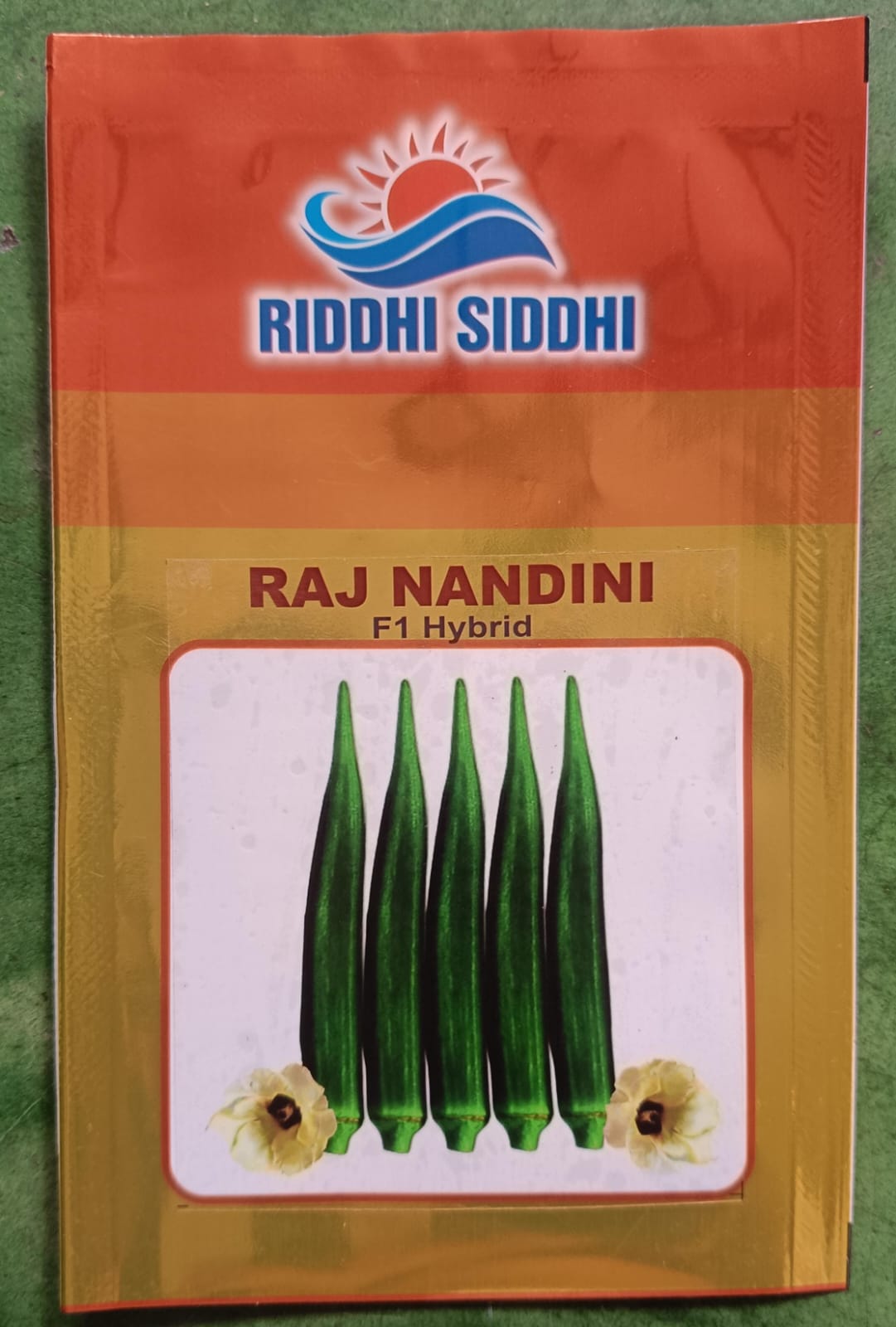 RAJ NANDINI